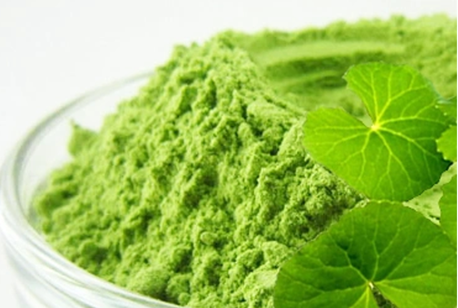 Centella asiatica powder - food every day for the body